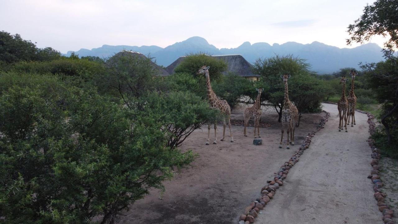 Hidden 2-Bedroom Gem In A Quiet Wildlife Estate Hoedspruit Bagian luar foto